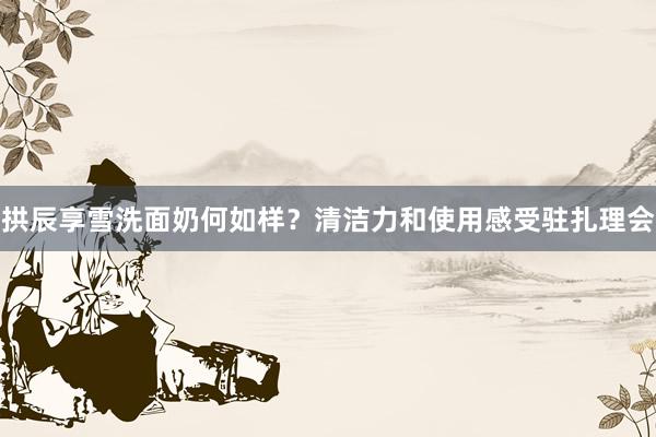 拱辰享雪洗面奶何如样？清洁力和使用感受驻扎理会